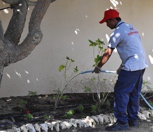 Plant Watering